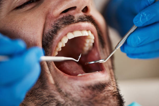 Best Emergency Orthodontic Repairs in South Monroe, MI